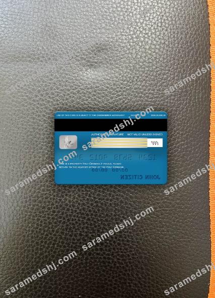 Italy Citibank visa classic card photolook back